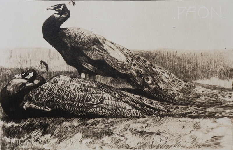 Mathurin MEHEUT : Les deux Paon, Lithographie signée