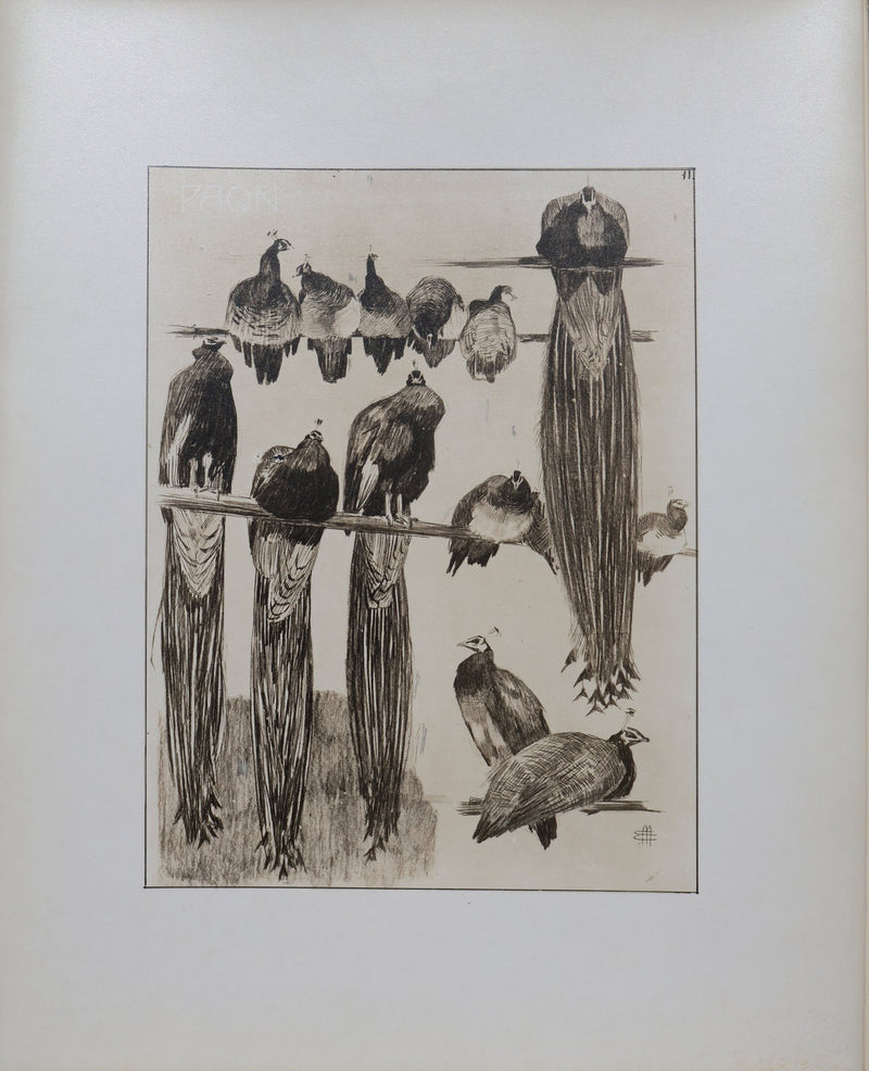 Mathurin MEHEUT : Les Paon, Lithographie signée