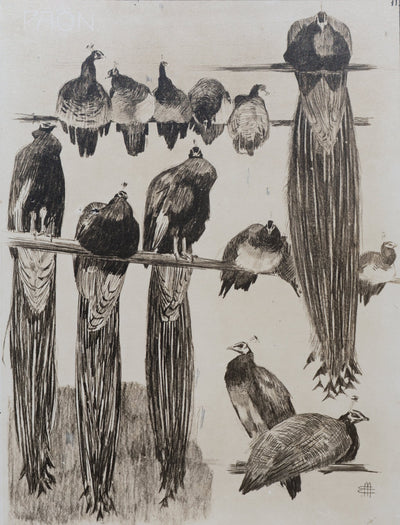 Mathurin MEHEUT : Les Paon, Lithographie signée
