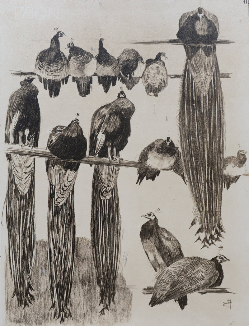 Mathurin MEHEUT : Les Paon, Lithographie signée