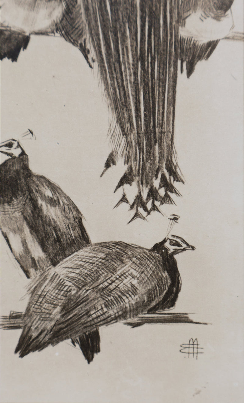 Mathurin MEHEUT : Les Paon, Lithographie signée