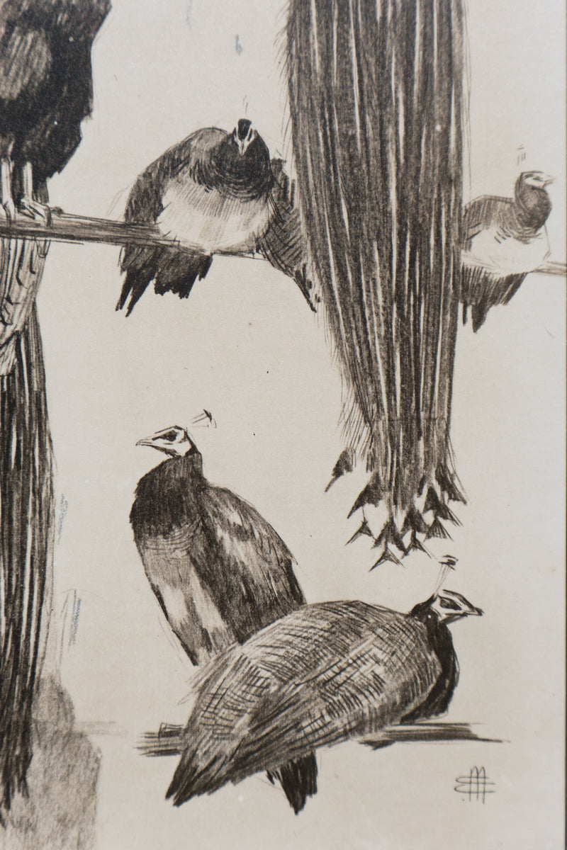 Mathurin MEHEUT : Les Paon, Lithographie signée
