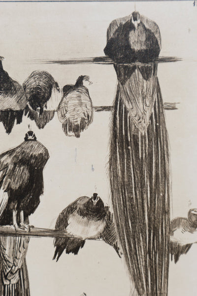Mathurin MEHEUT : Les Paon, Lithographie signée
