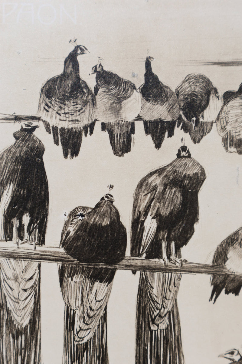 Mathurin MEHEUT : Les Paon, Lithographie signée