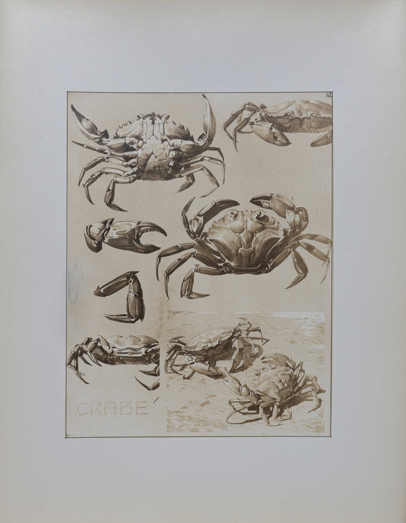 Mathurin MEHEUT : Le Crabe, Lithographie signée