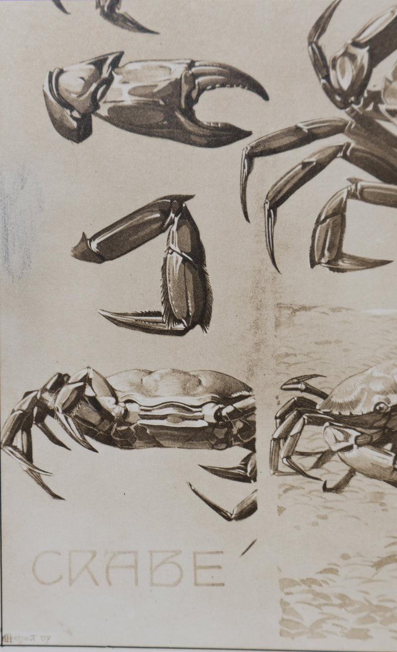 Mathurin MEHEUT : Le Crabe, Lithographie signée