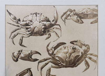 Mathurin MEHEUT : Le Crabe, Lithographie signée