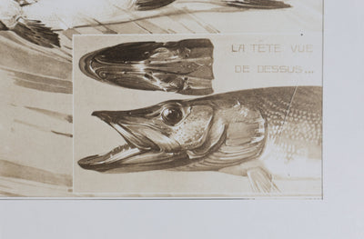 Mathurin MEHEUT : Le Brochet, Lithographie