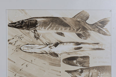 Mathurin MEHEUT : Le Brochet, Lithographie