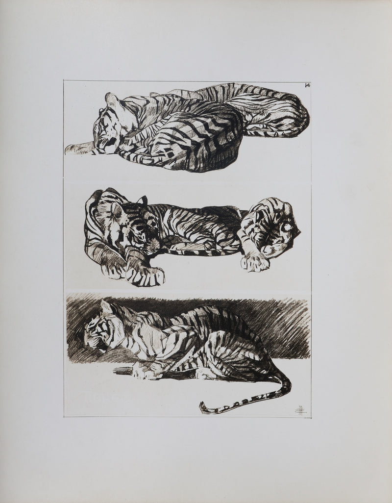 Mathurin MEHEUT : Le Tigre, Lithographie signée
