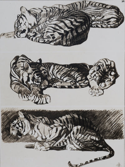 Mathurin MEHEUT : Le Tigre, Lithographie signée