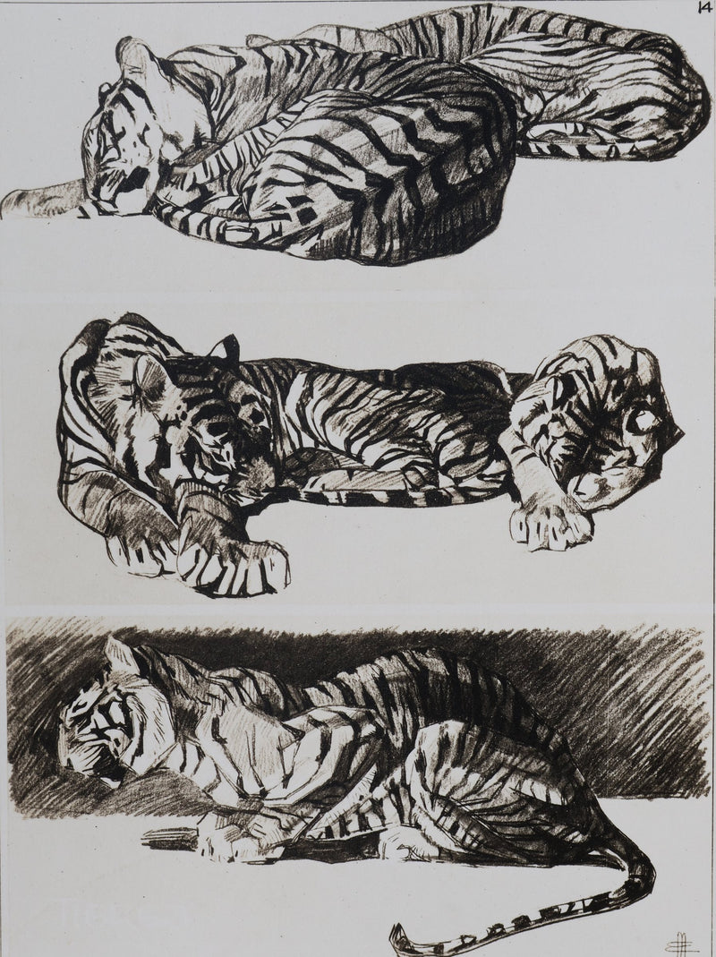 Mathurin MEHEUT : Le Tigre, Lithographie signée