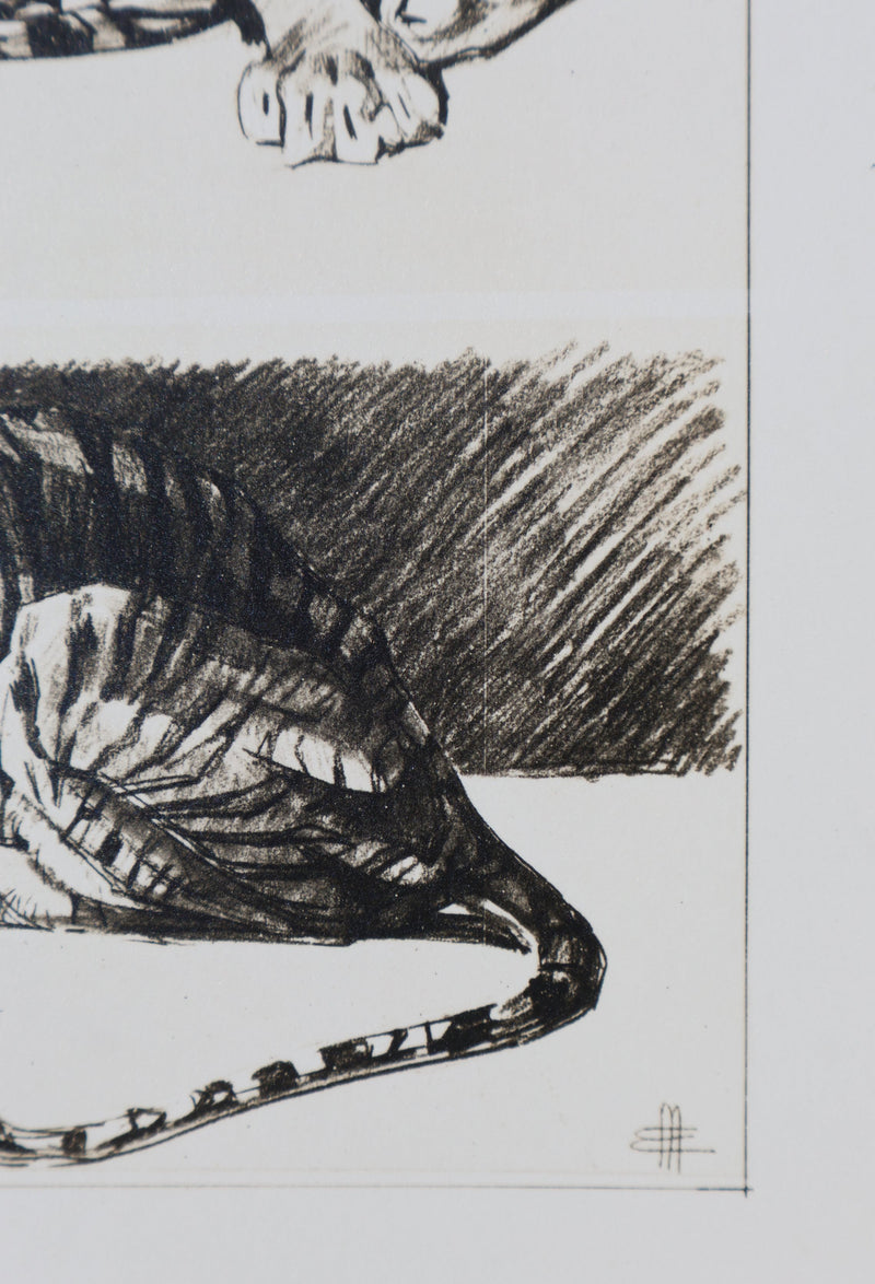 Mathurin MEHEUT : Le Tigre, Lithographie signée