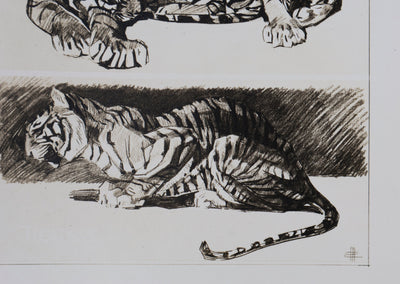 Mathurin MEHEUT : Le Tigre, Lithographie signée