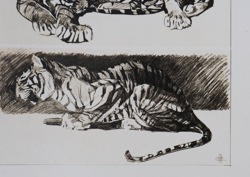 Mathurin MEHEUT : Le Tigre, Lithographie signée
