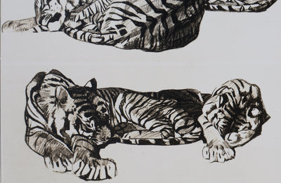 Mathurin MEHEUT : Le Tigre, Lithographie signée
