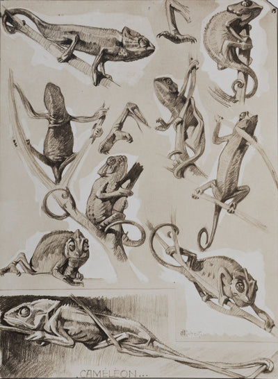 Mathurin MEHEUT : Le Caméléon, Lithographie signée