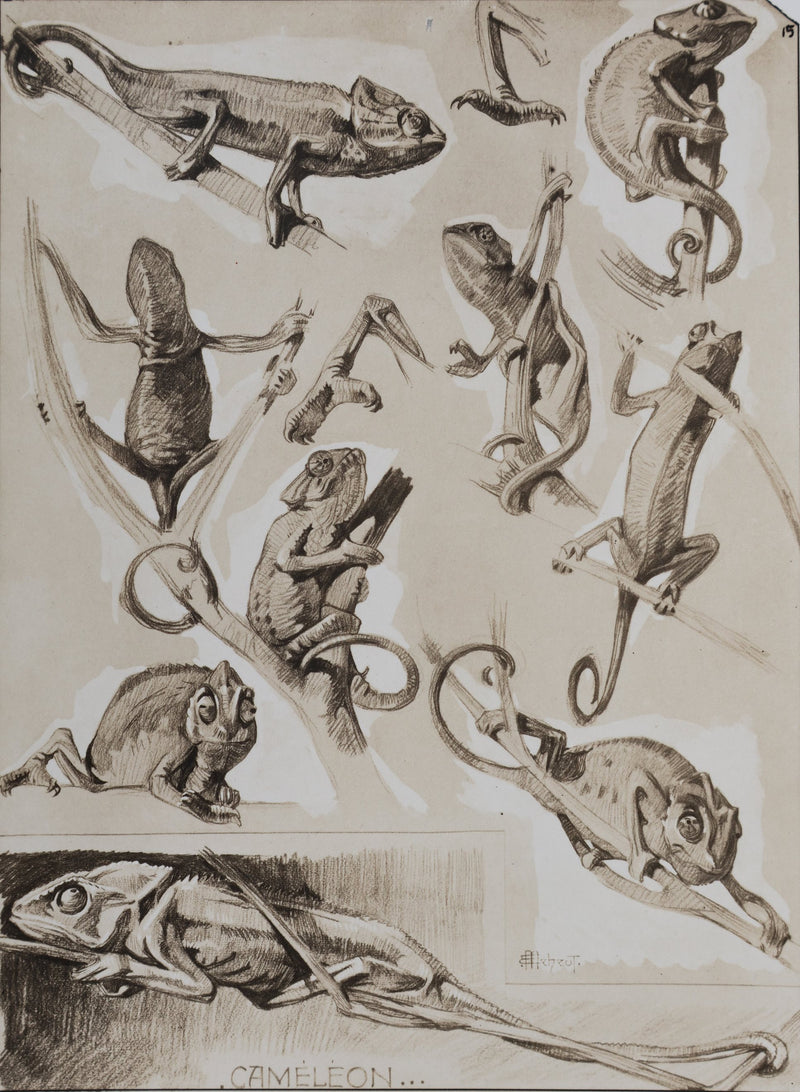 Mathurin MEHEUT : Le Caméléon, Lithographie signée