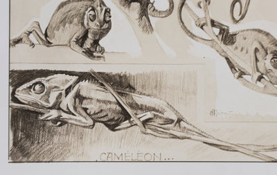 Mathurin MEHEUT : Le Caméléon, Lithographie signée