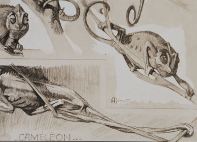 Mathurin MEHEUT : Le Caméléon, Lithographie signée