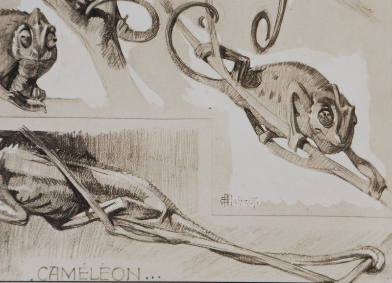 Mathurin MEHEUT : Le Caméléon, Lithographie signée