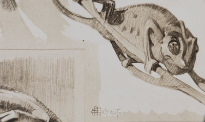 Mathurin MEHEUT : Le Caméléon, Lithographie signée