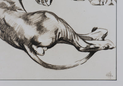 Mathurin MEHEUT : Le Lion, Lithographie signée