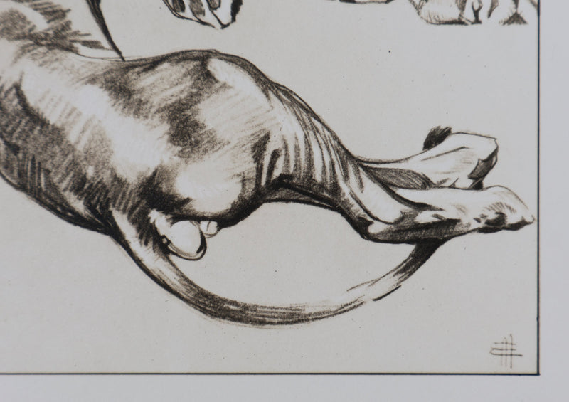 Mathurin MEHEUT : Le Lion, Lithographie signée