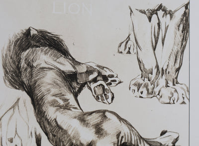 Mathurin MEHEUT : Le Lion, Lithographie signée
