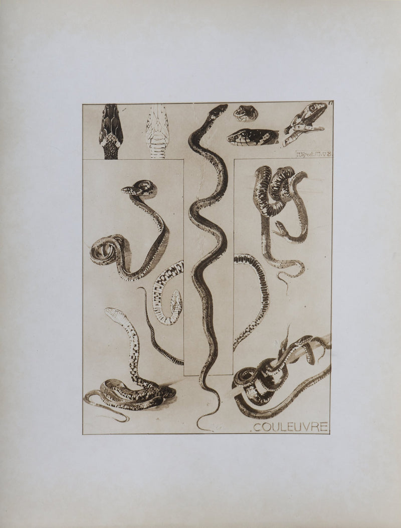 Mathurin MEHEUT : La Couleuvre, Lithographie signée