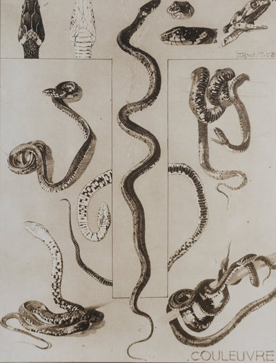 Mathurin MEHEUT : La Couleuvre, Lithographie signée