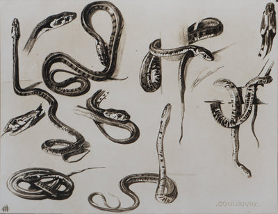 Mathurin MEHEUT : La Couleuvre, Lithographie signée