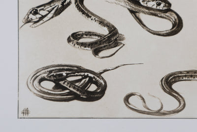 Mathurin MEHEUT : La Couleuvre, Lithographie signée