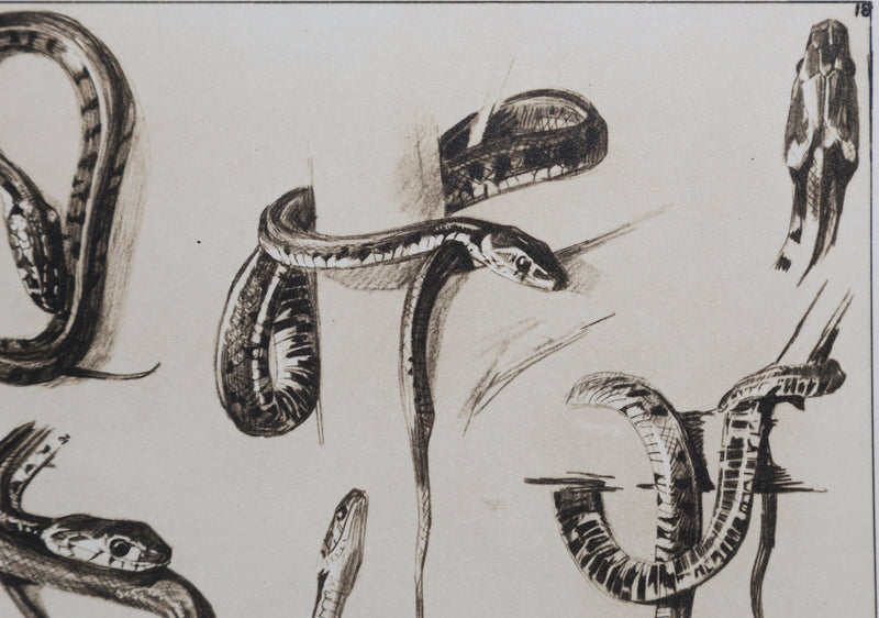 Mathurin MEHEUT : La Couleuvre, Lithographie signée