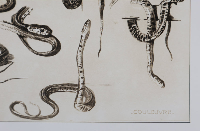 Mathurin MEHEUT : La Couleuvre, Lithographie signée