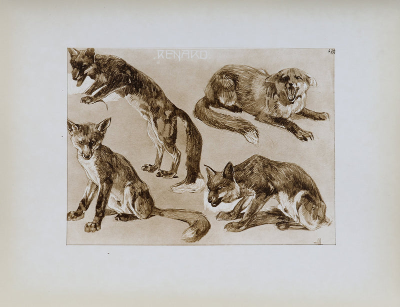 Mathurin MEHEUT : Le Renard, Lithographie signée