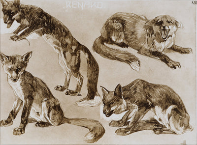 Mathurin MEHEUT : Le Renard, Lithographie signée