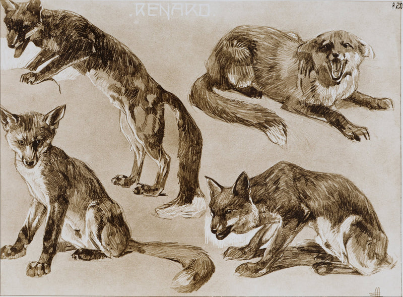 Mathurin MEHEUT : Le Renard, Lithographie signée