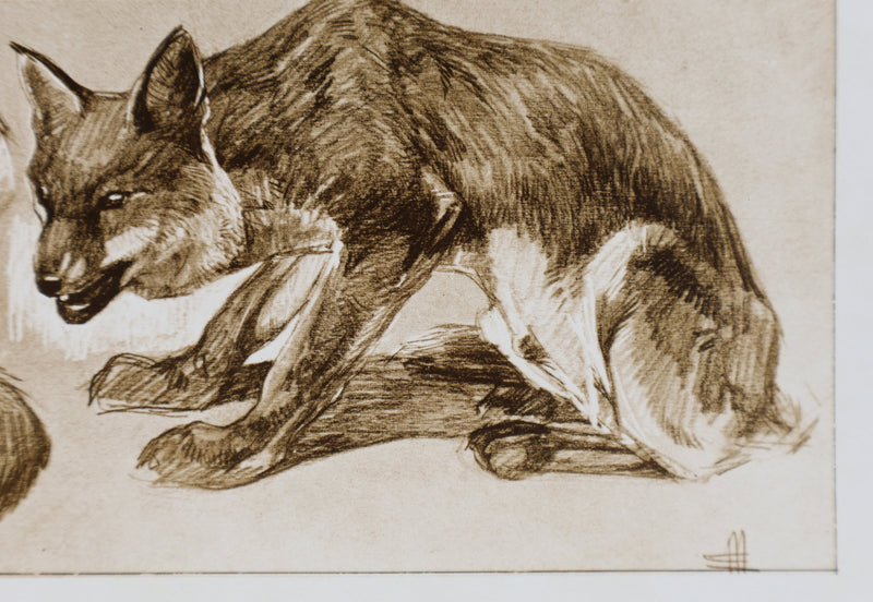 Mathurin MEHEUT : Le Renard, Lithographie signée