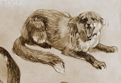Mathurin MEHEUT : Le Renard, Lithographie signée