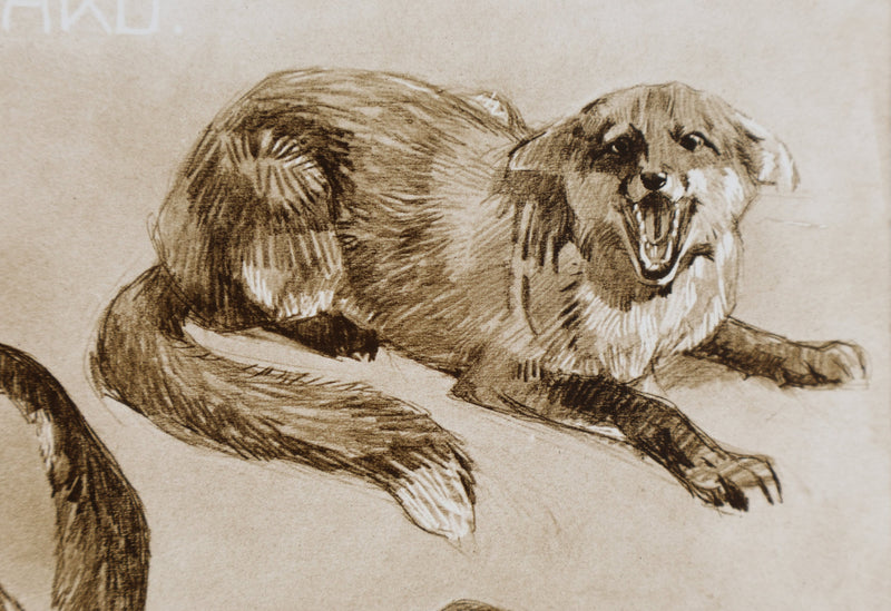 Mathurin MEHEUT : Le Renard, Lithographie signée