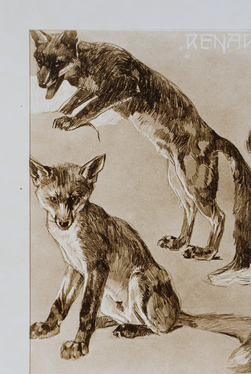 Mathurin MEHEUT : Le Renard, Lithographie signée