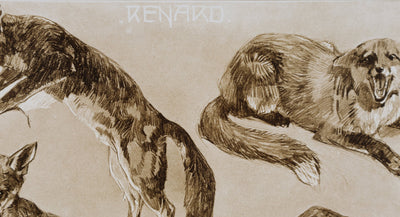 Mathurin MEHEUT : Le Renard, Lithographie signée