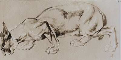Mathurin MEHEUT : Le Caracal, Lithographie signée