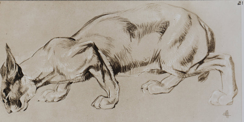 Mathurin MEHEUT : Le Caracal, Lithographie signée
