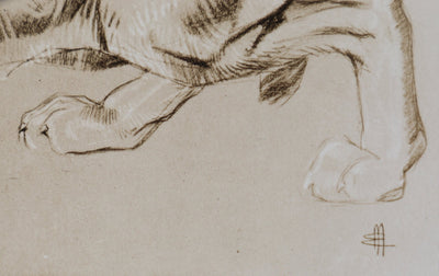 Mathurin MEHEUT : Le Caracal, Lithographie signée