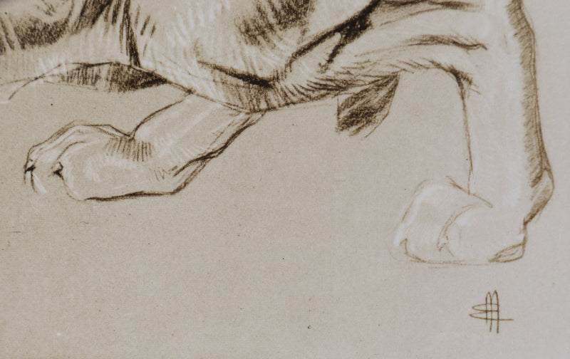 Mathurin MEHEUT : Le Caracal, Lithographie signée