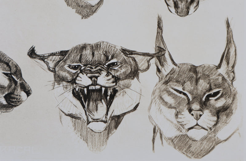 Mathurin MEHEUT : Le Caracal, Lithographie signée