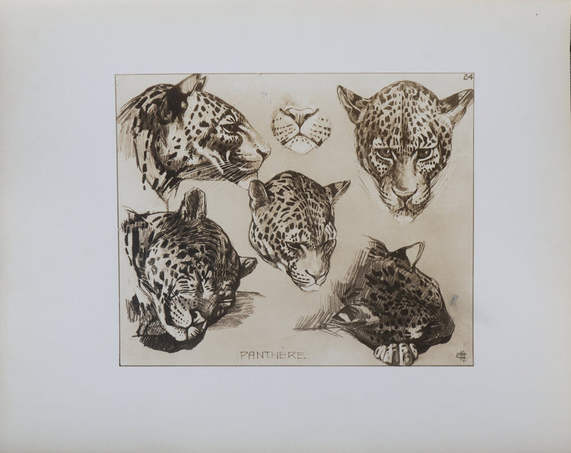 Mathurin MEHEUT : La Panthère, Lithographie signée