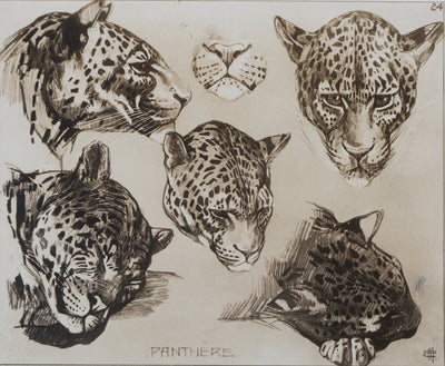 Mathurin MEHEUT : La Panthère, Lithographie signée